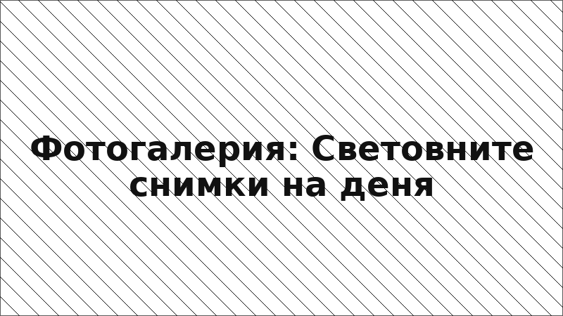 Фотогалерия: Световните снимки на деня