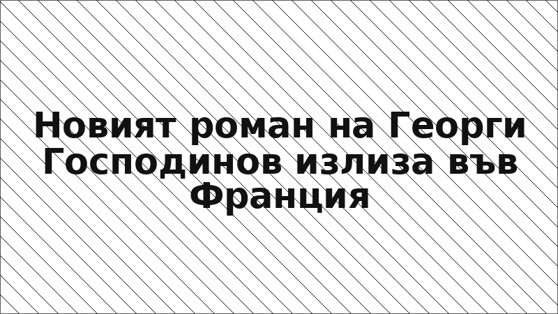Новият роман на Георги Господинов излиза във Франция