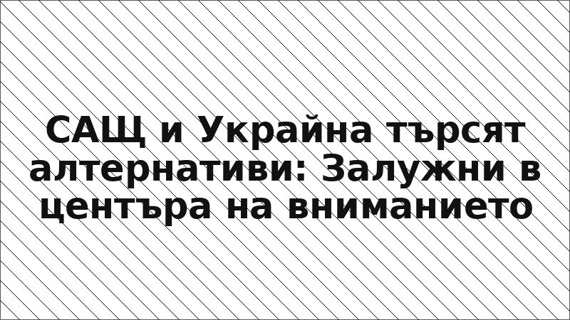 САЩ и Украйна търсят алтернативи: Залужни в центъра на вниманието