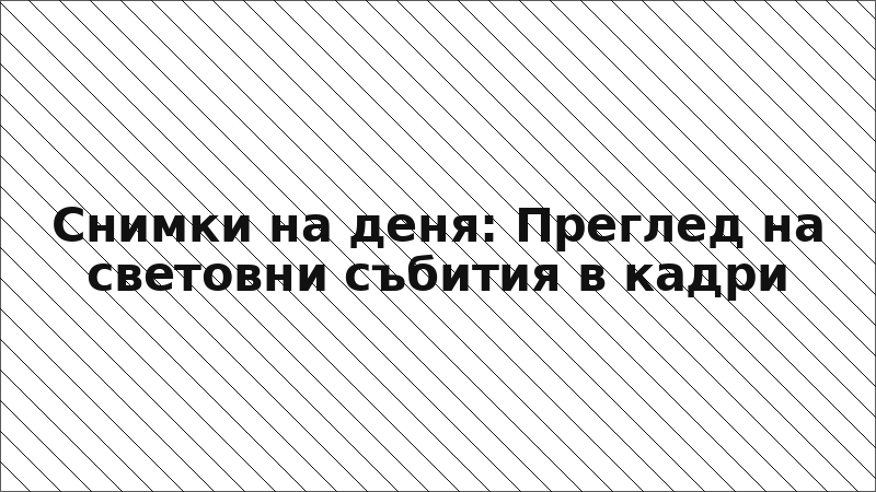 Снимки на деня: Преглед на световни събития в кадри