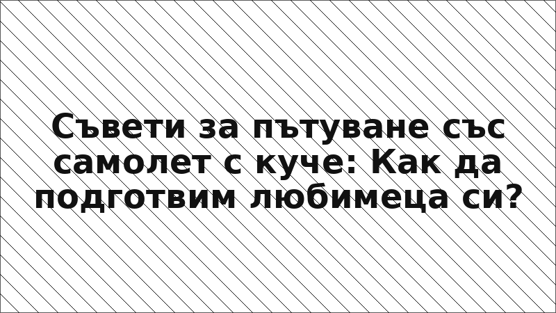Съвети за пътуване със самолет с куче: Как да подготвим любимеца си?