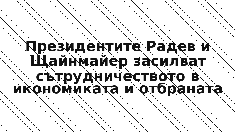 Президентите Радев и Щайнмайер засилват сътрудничеството в икономиката и отбраната