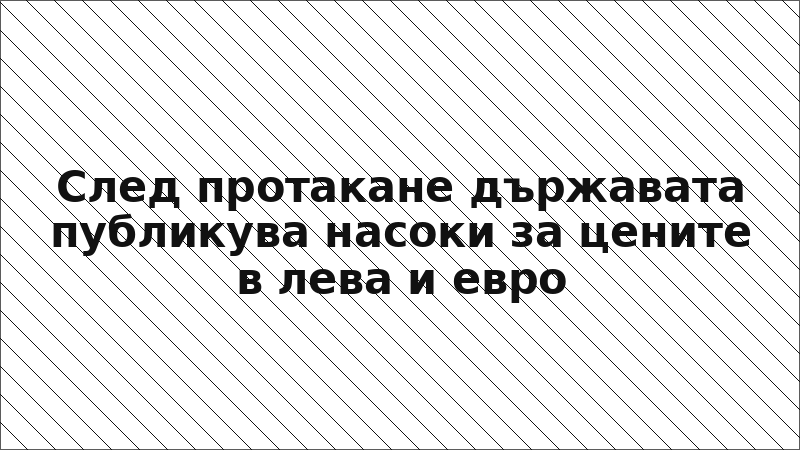 След протакане държавата публикува насоки за цените в лева и евро