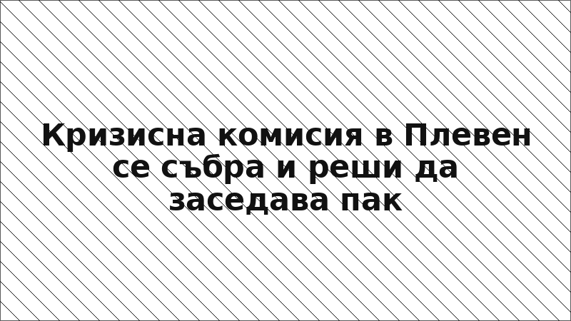 Кризисна комисия в Плевен се събра и реши да заседава пак
