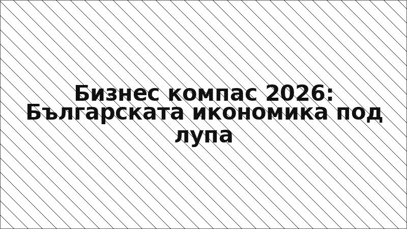 Бизнес компас 2026: Българската икономика под лупа