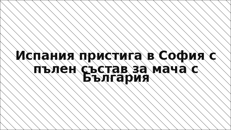 Испания пристига в София с пълен състав за мача с България
