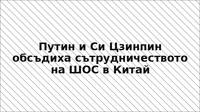 Путин и Си Цзинпин обсъдиха сътрудничеството на ШОС в Китай