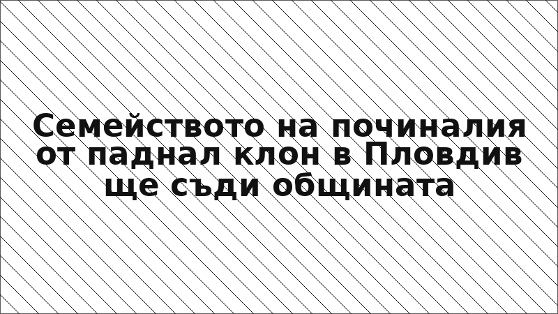 Семейството на починалия от паднал клон в Пловдив ще съди общината