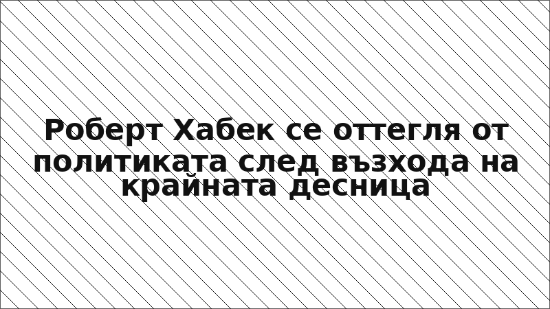 Роберт Хабек се оттегля от политиката след възхода на крайната десница