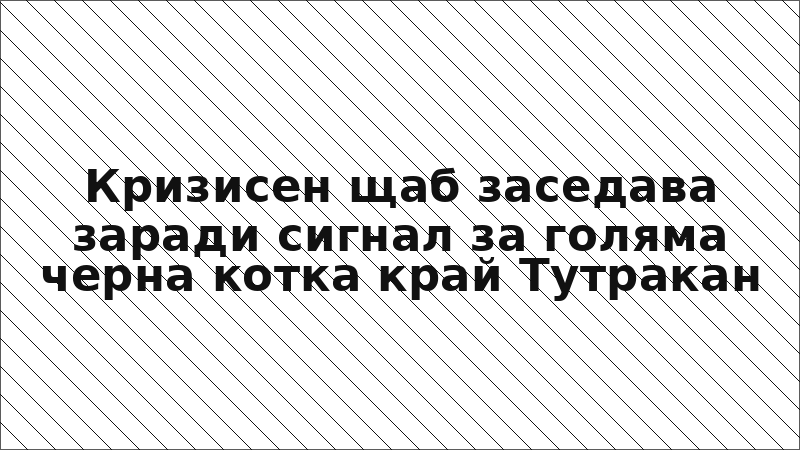 Кризисен щаб заседава заради сигнал за голяма черна котка край Тутракан