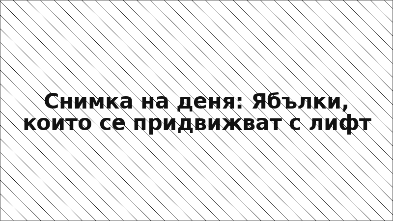 Снимка на деня: Ябълки, които се придвижват с лифт