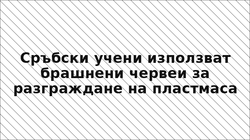 Сръбски учени използват брашнени червеи за разграждане на пластмаса