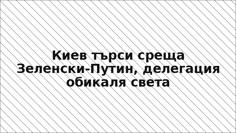 Киев търси среща Зеленски-Путин, делегация обикаля света