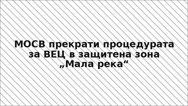 МОСВ прекрати процедурата за ВЕЦ в защитена зона „Мала река“
