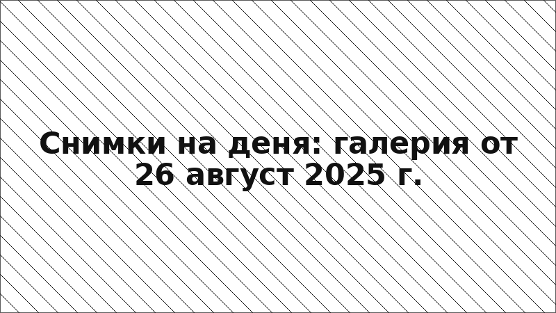 Снимки на деня: галерия от 26 август 2025 г.
