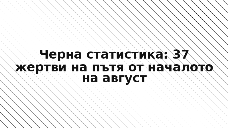 Черна статистика: 37 жертви на пътя от началото на август