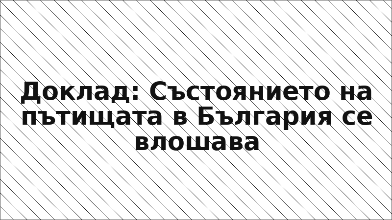 Доклад: Състоянието на пътищата в България се влошава