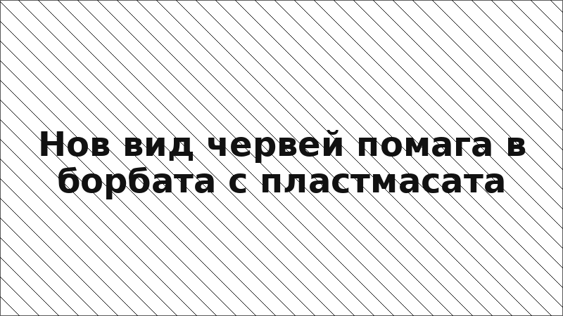 Нов вид червей помага в борбата с пластмасата