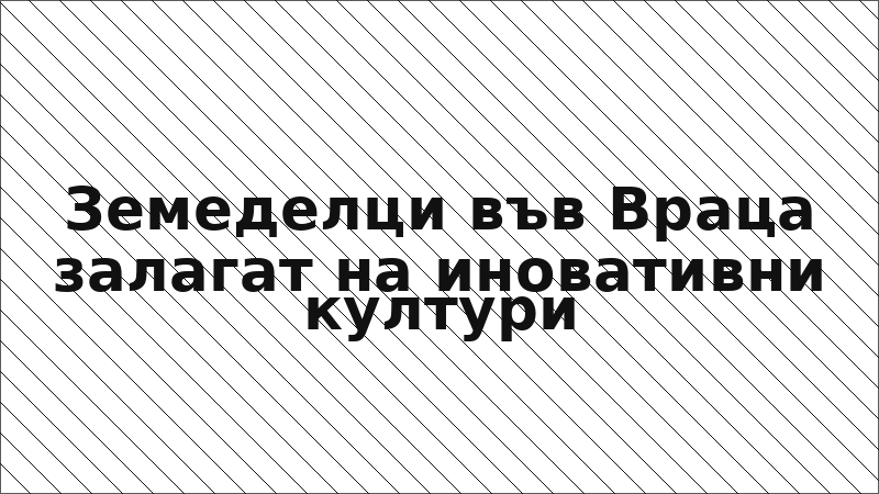 Земеделци във Враца залагат на иновативни култури