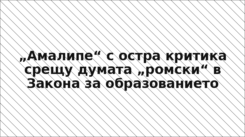 „Амалипе“ с остра критика срещу думата „ромски“ в Закона за образованието