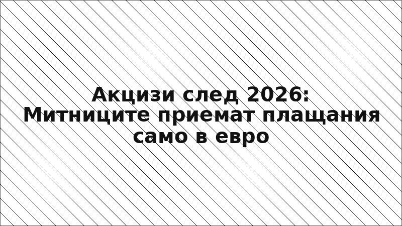 Акцизи след 2026: Митниците приемат плащания само в евро