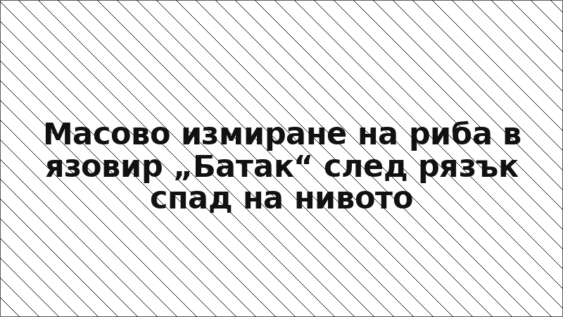 Масово измиране на риба в язовир „Батак“ след рязък спад на нивото