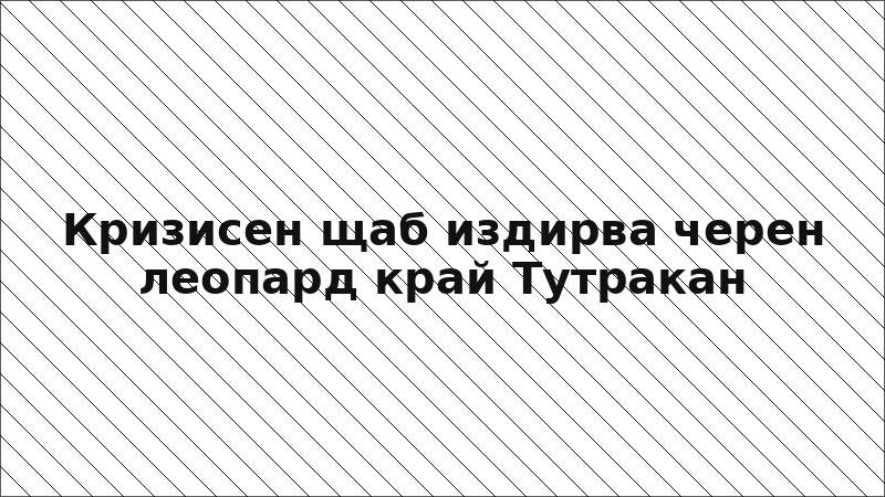 Кризисен щаб издирва черен леопард край Тутракан
