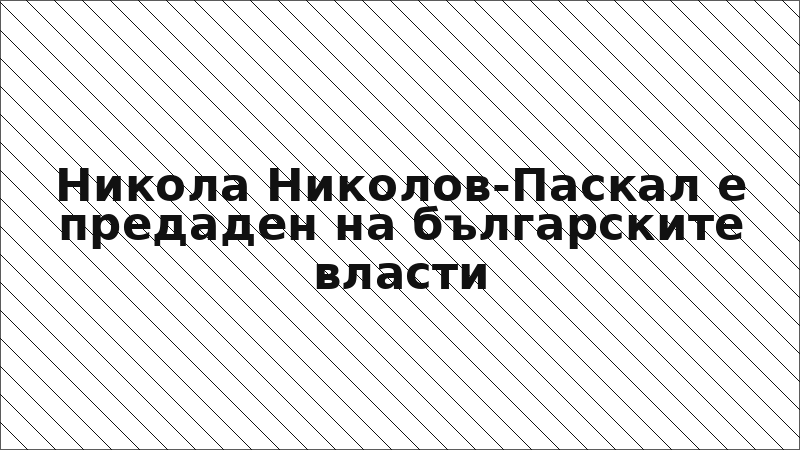 Никола Николов-Паскал е предаден на българските власти