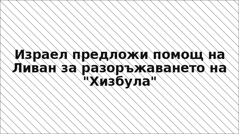 Израел предложи помощ на Ливан за разоръжаването на "Хизбула"
