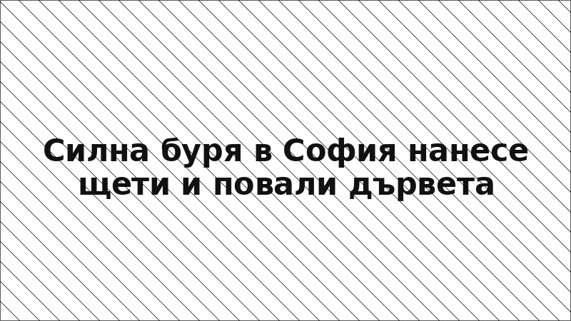 Силна буря в София нанесе щети и повали дървета