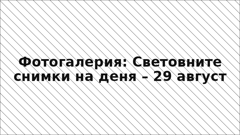 Фотогалерия: Световните снимки на деня – 29 август