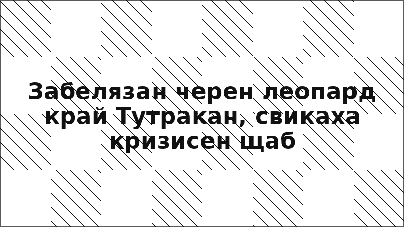Забелязан черен леопард край Тутракан, свикаха кризисен щаб