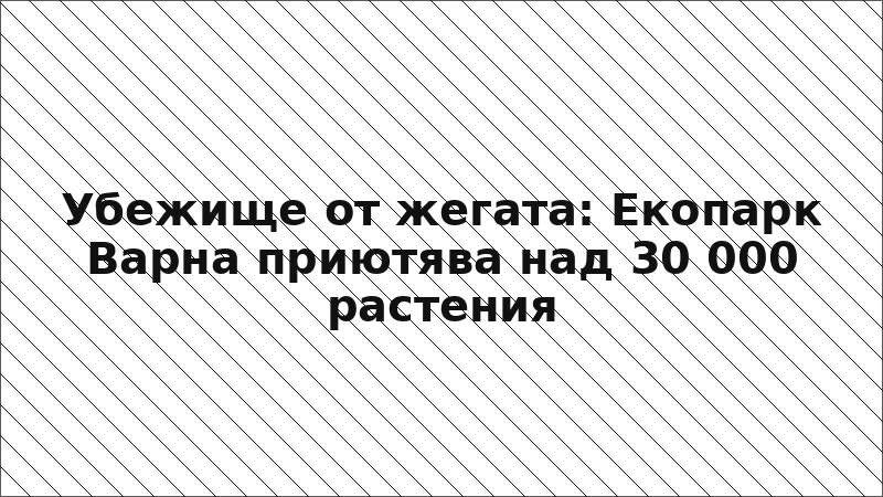 Убежище от жегата: Екопарк Варна приютява над 30 000 растения