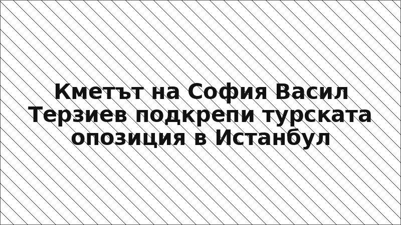 Кметът на София Васил Терзиев подкрепи турската опозиция в Истанбул