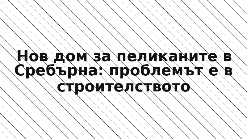 Нов дом за пеликаните в Сребърна: проблемът е в строителството