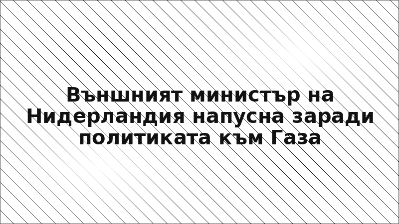 Външният министър на Нидерландия напусна заради политиката към Газа