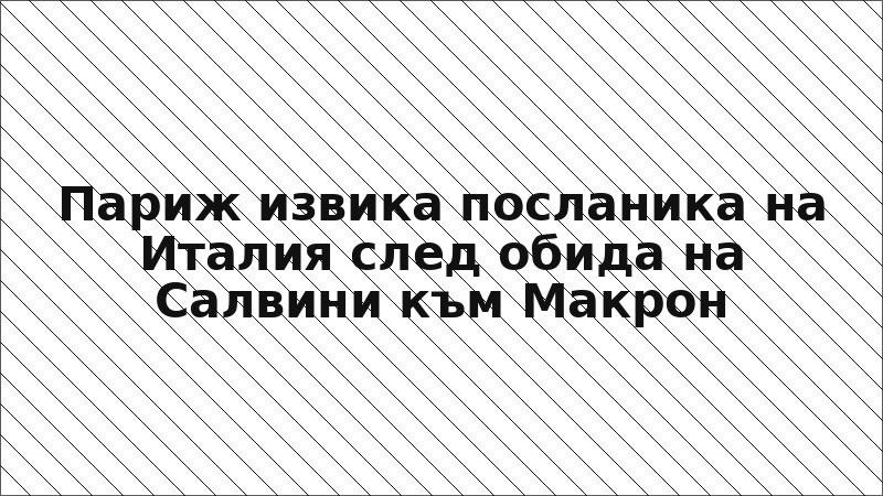 Париж извика посланика на Италия след обида на Салвини към Макрон