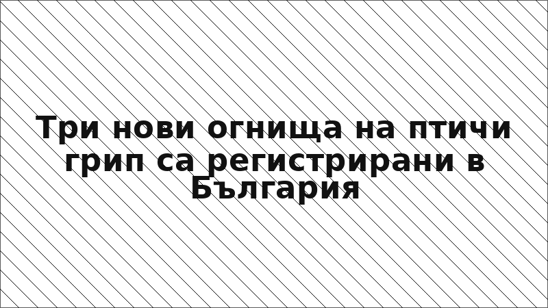 Три нови огнища на птичи грип са регистрирани в България