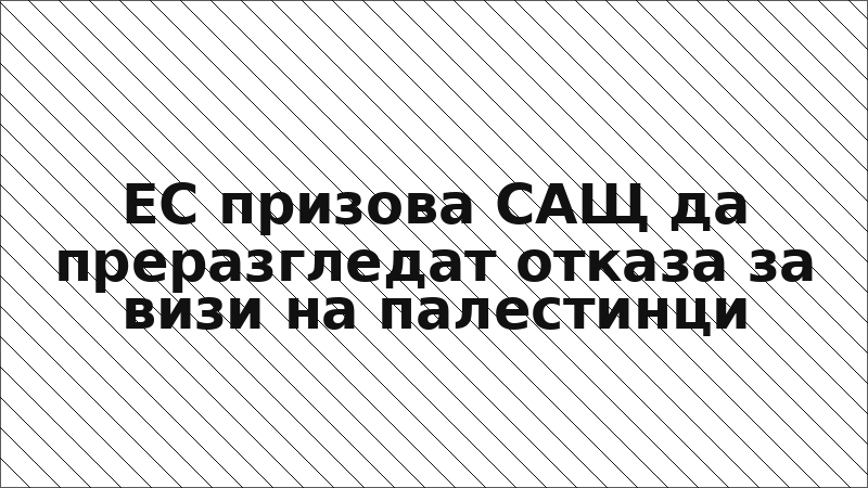 ЕС призова САЩ да преразгледат отказа за визи на палестинци