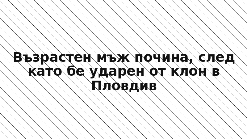 Възрастен мъж почина, след като бе ударен от клон в Пловдив