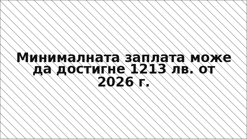 Минималната заплата може да достигне 1213 лв. от 2026 г.