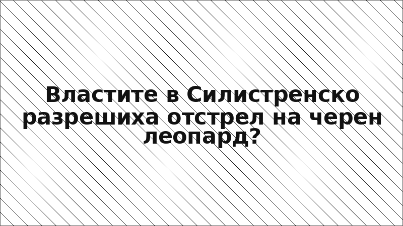 Властите в Силистренско разрешиха отстрел на черен леопард?