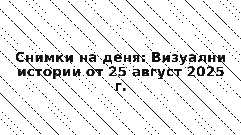 Снимки на деня: Визуални истории от 25 август 2025 г.