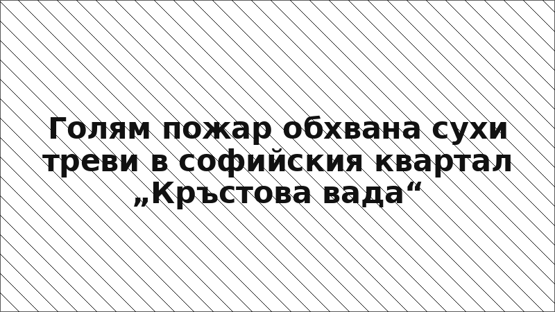 Голям пожар обхвана сухи треви в софийския квартал „Кръстова вада“