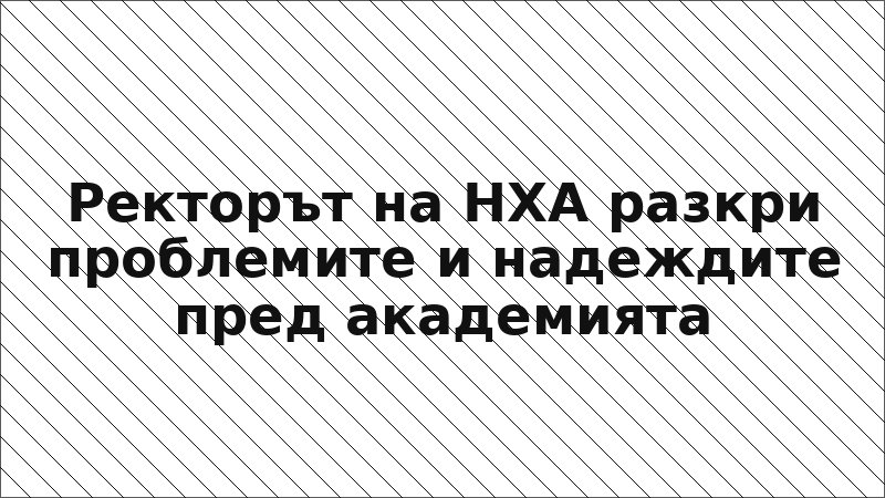 Ректорът на НХА разкри проблемите и надеждите пред академията
