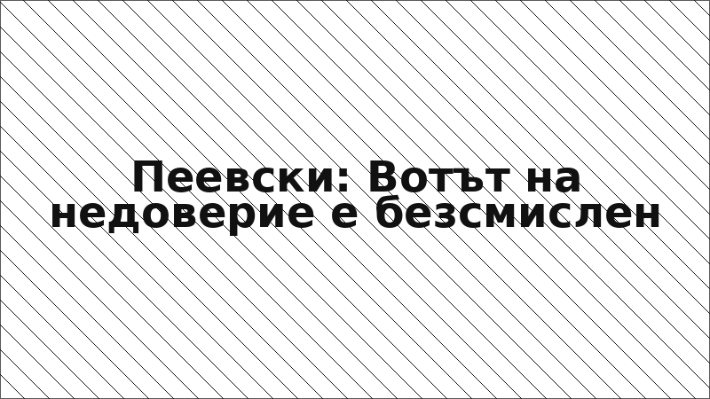 Пеевски: Вотът на недоверие е безсмислен