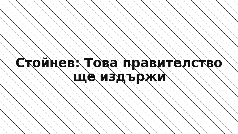 Стойнев: Това правителство ще издържи