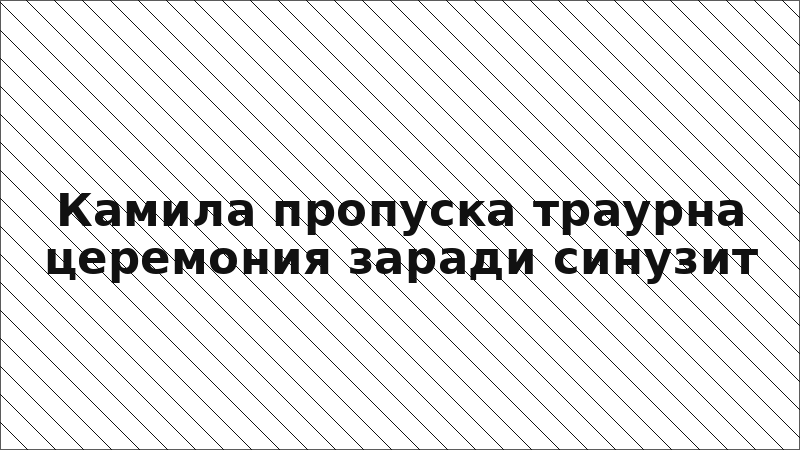 Камила пропуска траурна церемония заради синузит