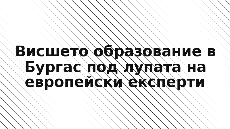Висшето образование в Бургас под лупата на европейски експерти