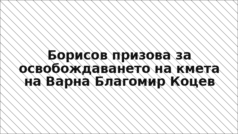 Борисов призова за освобождаването на кмета на Варна Благомир Коцев